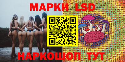 стафф Бугуруслан