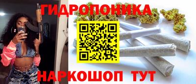 индика Будённовск