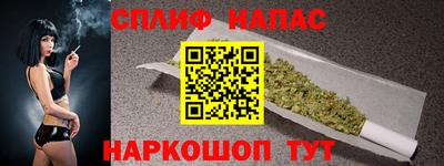 индика Будённовск