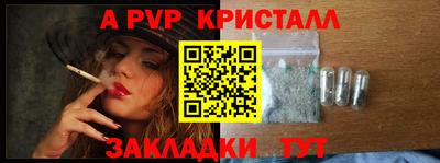 индика Будённовск