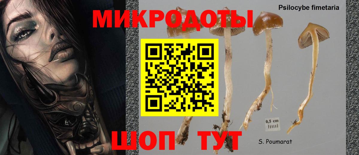 Лиски  купить закладку  Вход с VPN  Галлюциногенные грибы Psilocybe 
